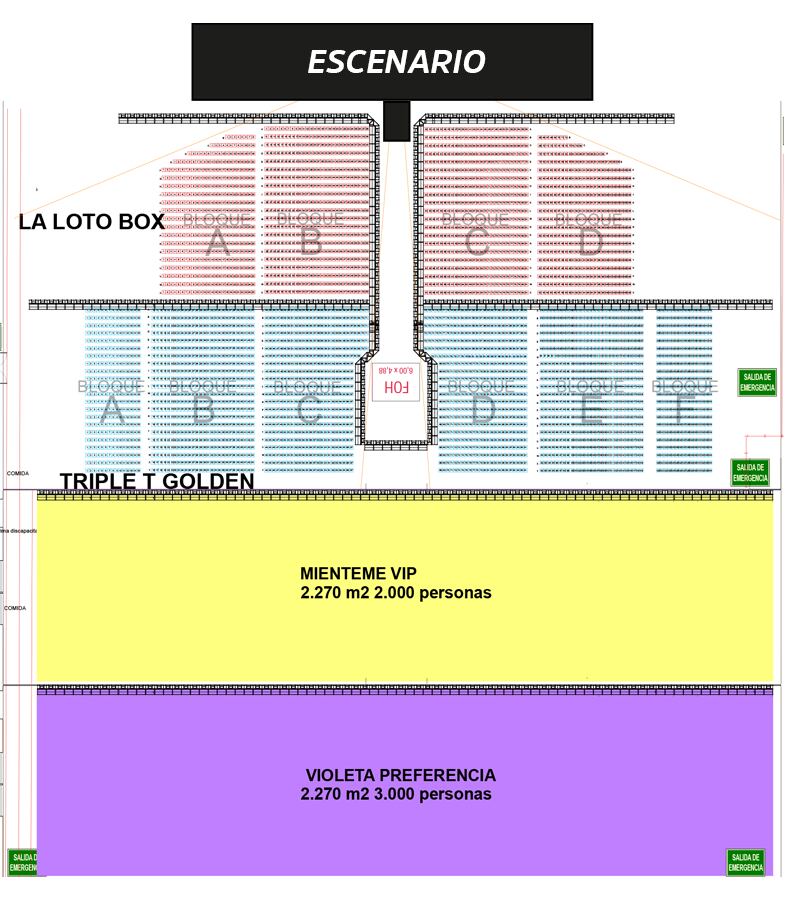 Localidades para el concierto de Tini