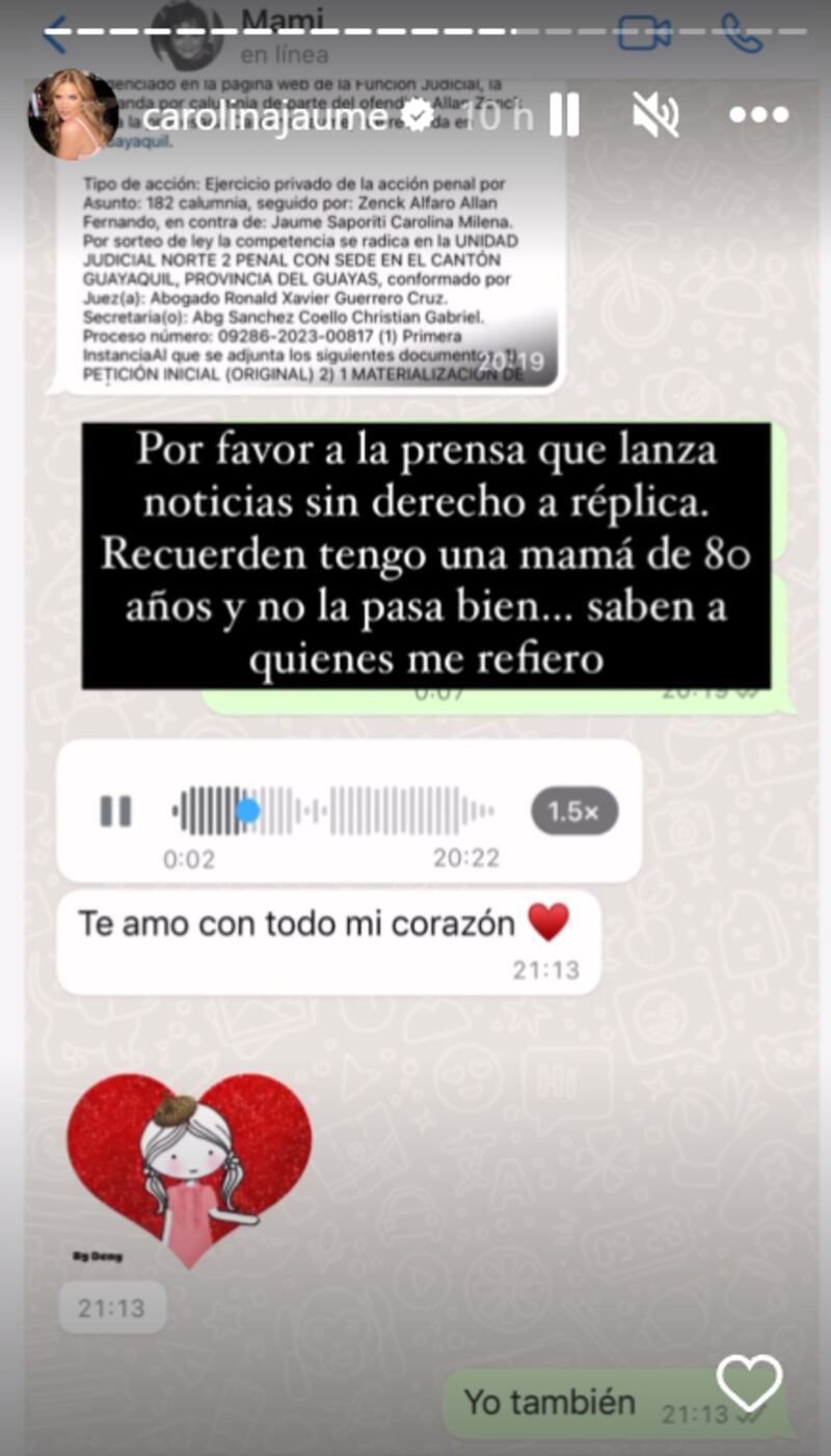 Captura de historia de Instagram de Carolina Jaume