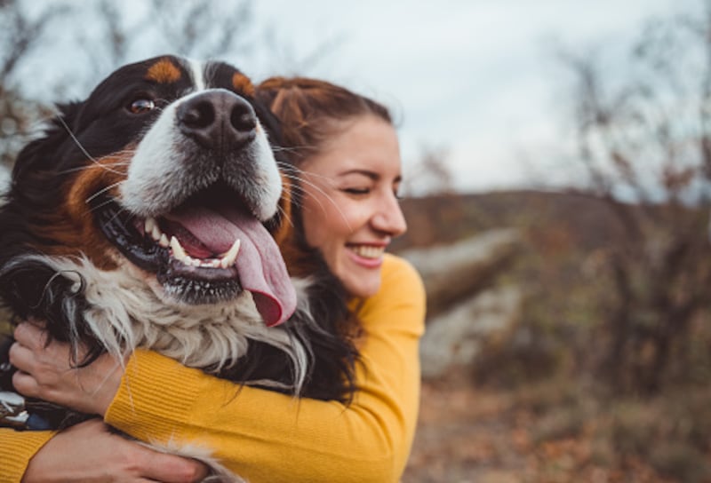 Gracias a la IA podrás traducir lo que dice tu gato o tu perro