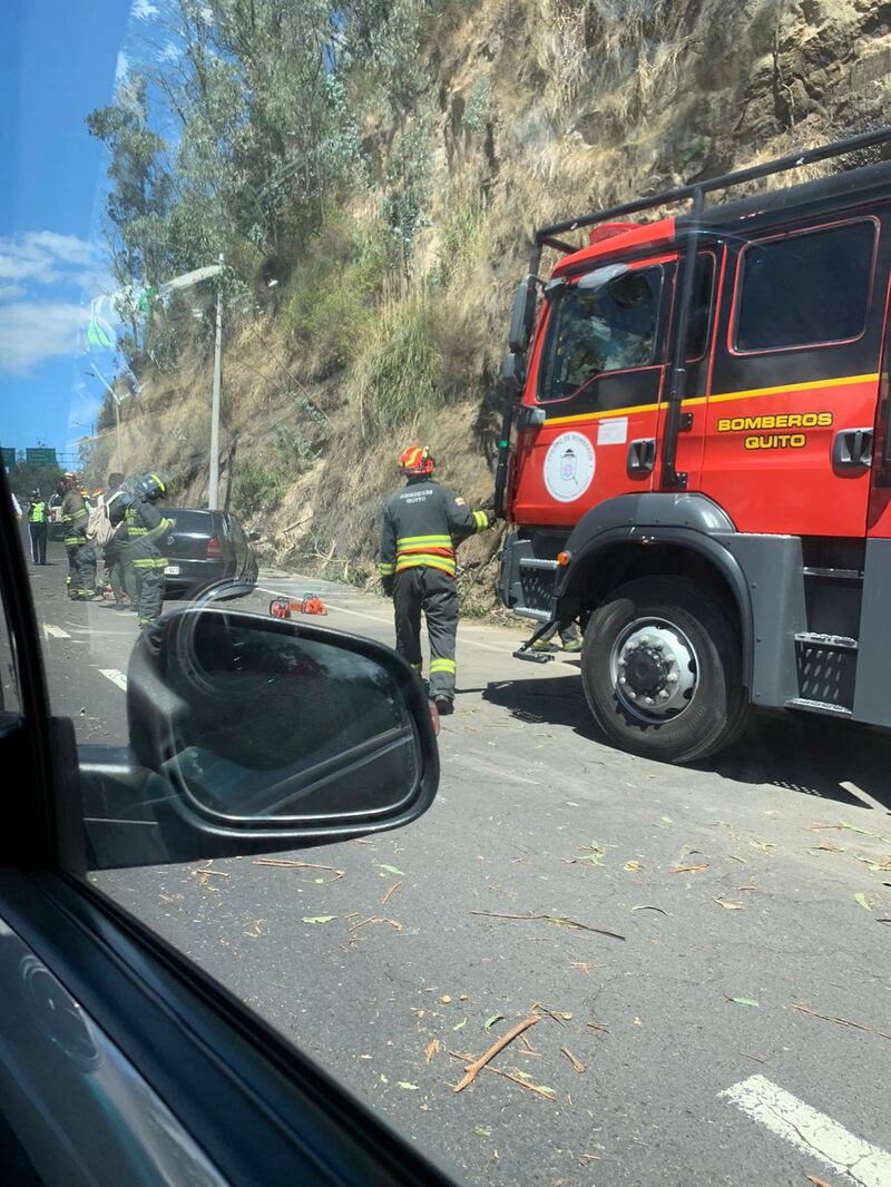 Árbol cayó sobre un vehículo en la Simón Bolívar