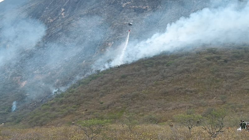 Azuay: Incendio Forestal