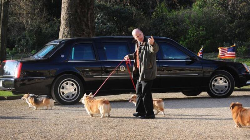 Corgis de Reina Isabel II