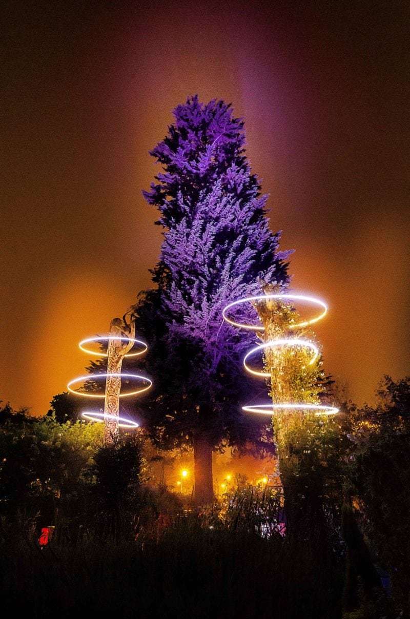 Bosque de luz en el Jardín Botánico