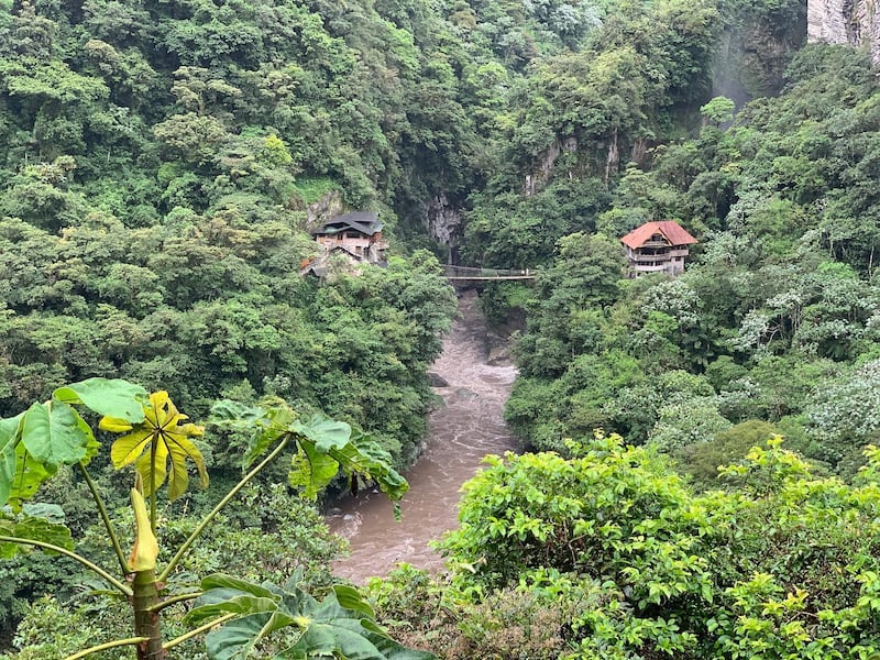 En la Amazonía. El verde vivo de su vegetación destaca en Misahuallí, en Napo.