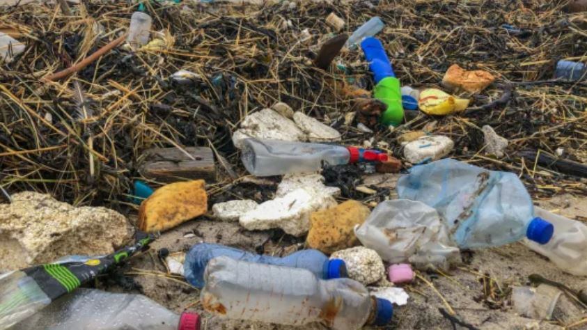 Desperdicios plásticos en la costa norte de Dinamarca. | Foto: Getty Images