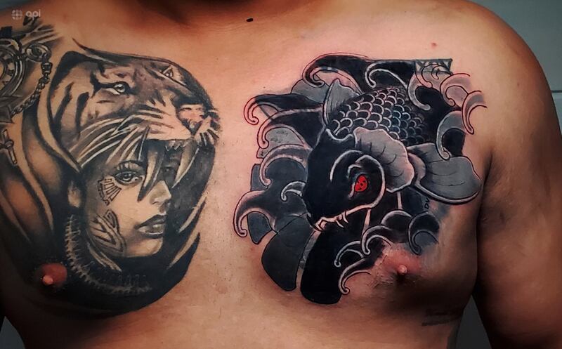 En la gráfica un cliente llegó al 11-11 Gallery Tatoo, para cubrir un lobo y tigre diseñados en su pecho.