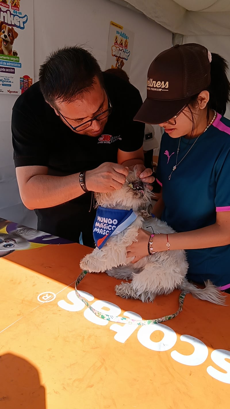 ’Ruta Mágica, ¡Vamos a pata!’ de Mundo Mágico de la Mascota