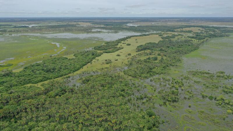 El proyecto promueve e implementa plantes de conservación basados en criterios de sostenibilidad.