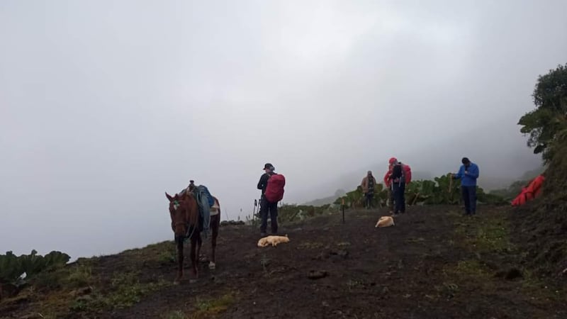 Buscan a excursionista extraviado en el volcán Tungurahua