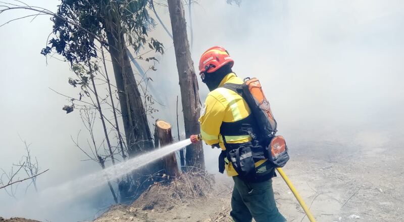 Quema forestal en el sector de Guayllabamba