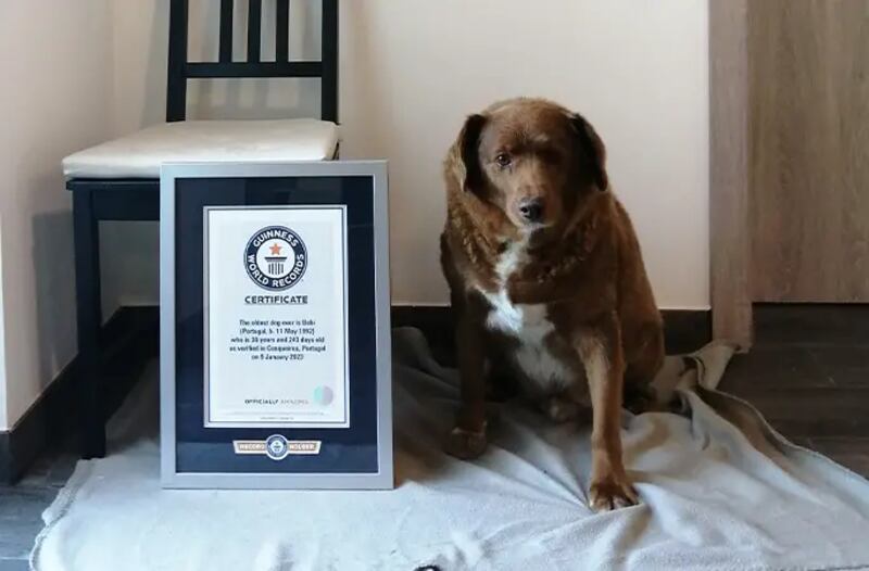 Ganador de Guinness World Records.