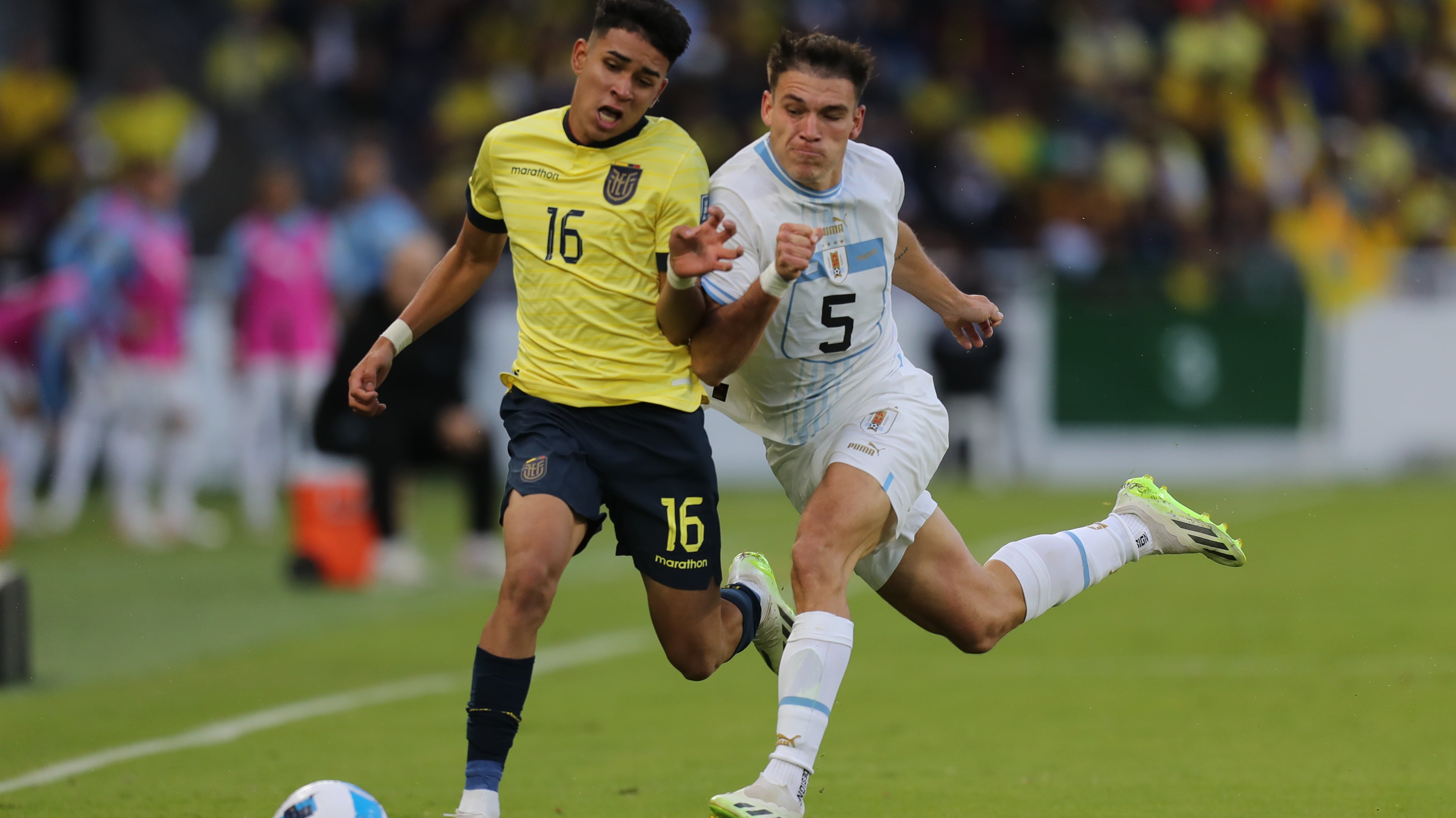 Kendry Páez disputa el balón con Manuel Ugarte Ribeiro de Uruguay  en un partido de las Eliminatorias Sudamericanas para la Copa Mundial de Fútbol 2026