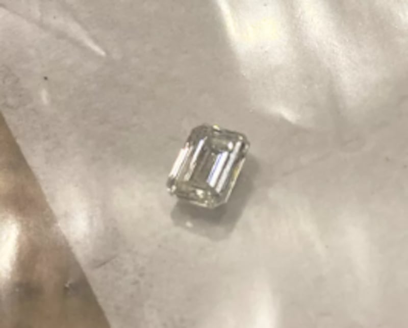 Una perra se tragó el diamante del anillo de compromiso de su dueña