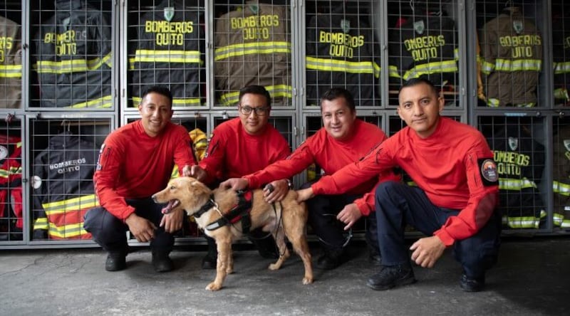 En Quito, todos nos juntamos contra el fuego de la ‘pata’ de Chaupi