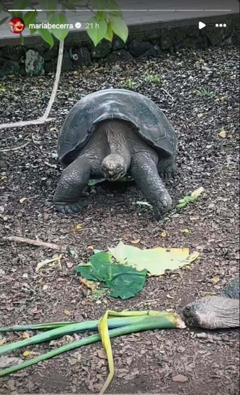 Las fotos de María Becerra disfrutando de las Islas Galápagos