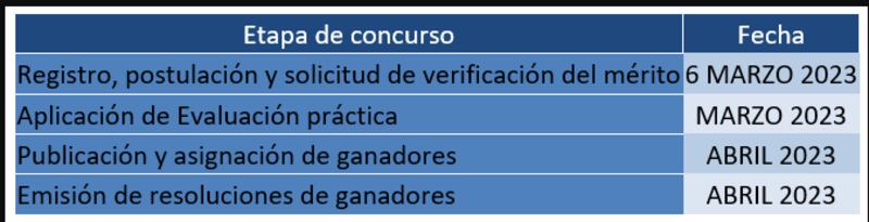 Cronograma planteado para el concurso de méritos y oposición.