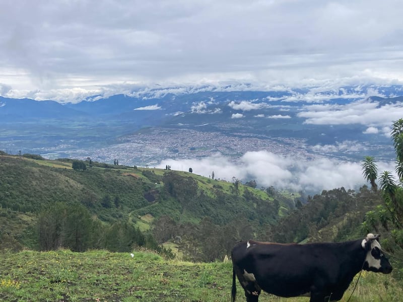 Las últimas fotos que Juan Valdiviezo captó antes de ser hallado sin vida en el Taita Imbabura. Imagen: Cortesía