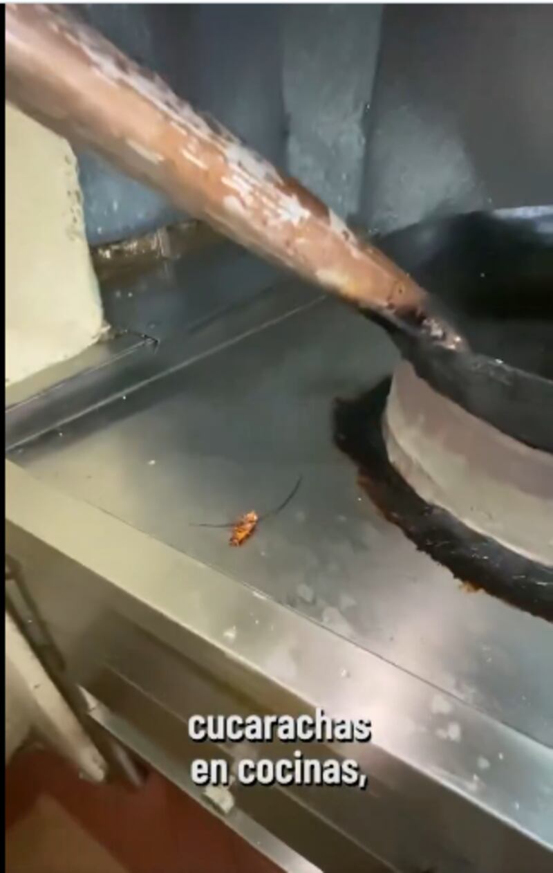 Cucarachas en la cocina de un chifa en Machala