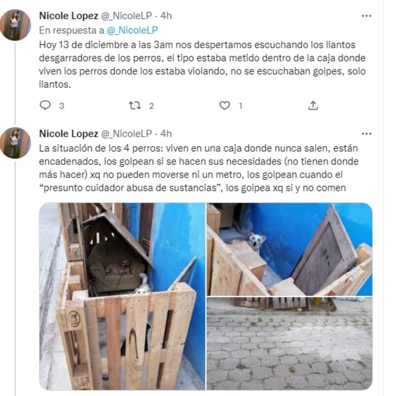 Rescataron a cinco perros presuntamente maltratados en la vía a Daule: No sufrieron de abuso sexual