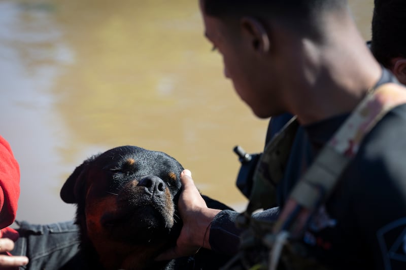 AME4999. CANOAS (BRASIL), 09/05/2024.- Un soldados del ejército brasileño acaricia un perro rescatado este jueves en Canoas, región metropolitana de Porto Alegre (Brasil). El Gobierno brasileño agradeció este miércoles la ayuda humanitaria enviada por Argentina a los damnificados por las inundaciones de la última semana en el sur de Brasil, que han dejado 108 muertos, en una nueva muestra de que las relaciones entre ambos países se siguen distendiendo. EFE/ Isaac Fontana