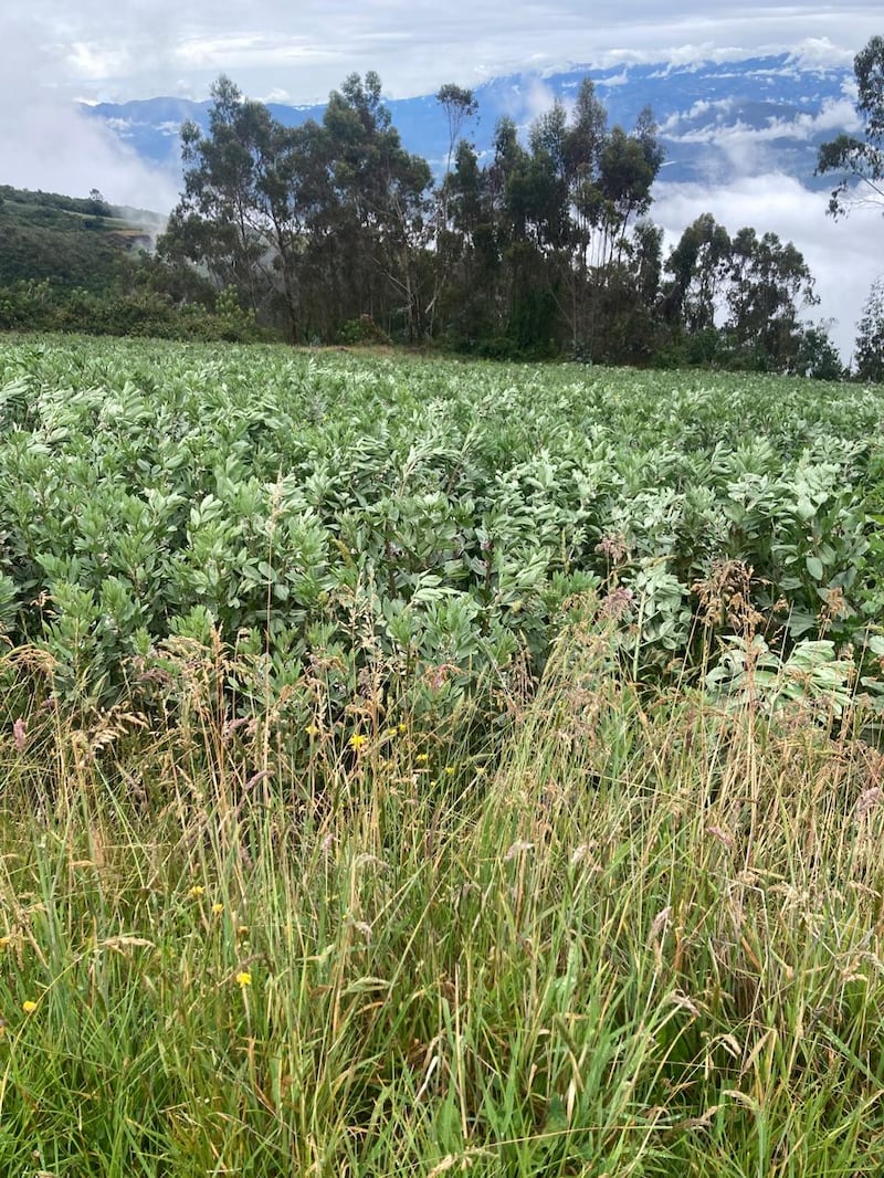 Las últimas fotos que Juan Valdiviezo captó antes de ser hallado sin vida en el Taita Imbabura. Imagen: Cortesía