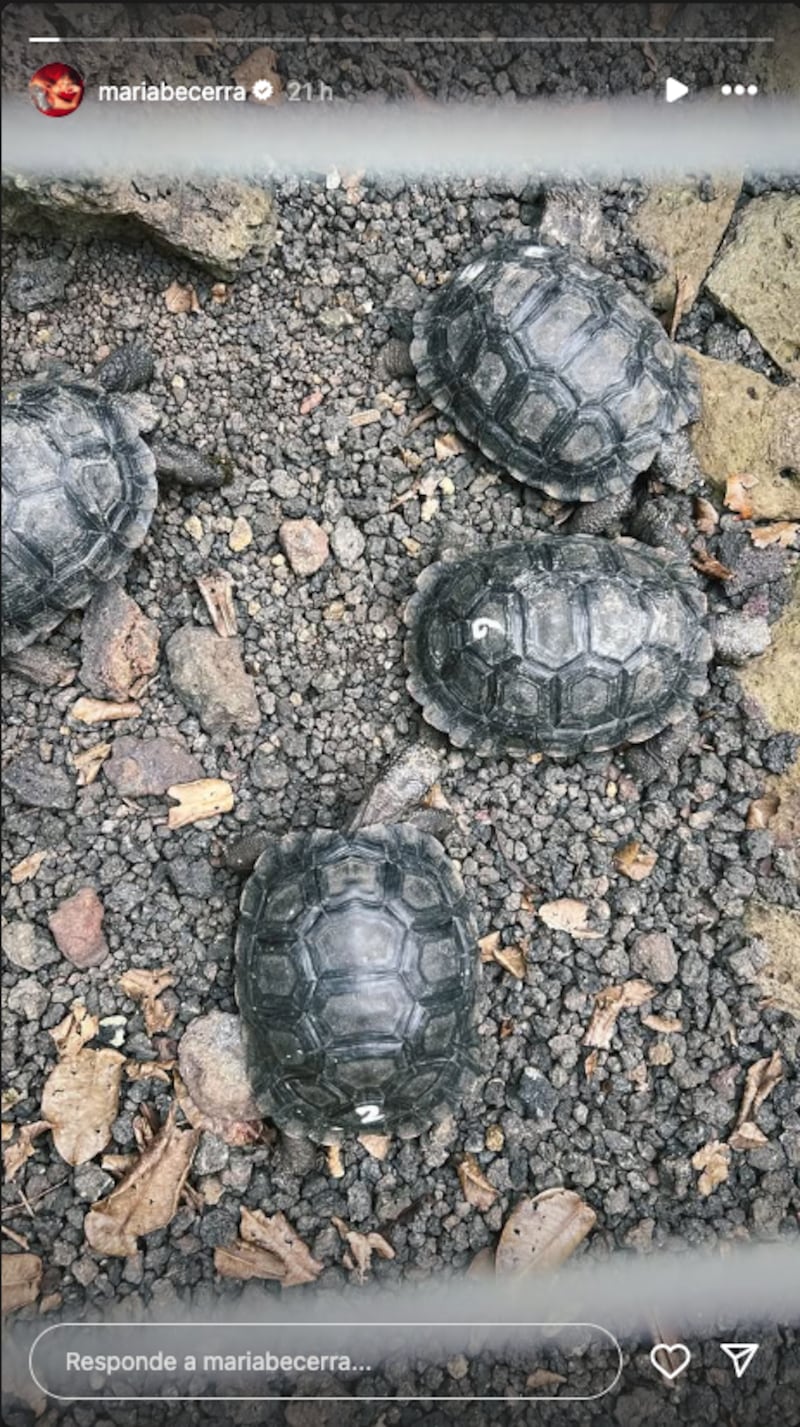 Las fotos de María Becerra disfrutando de las Islas Galápagos