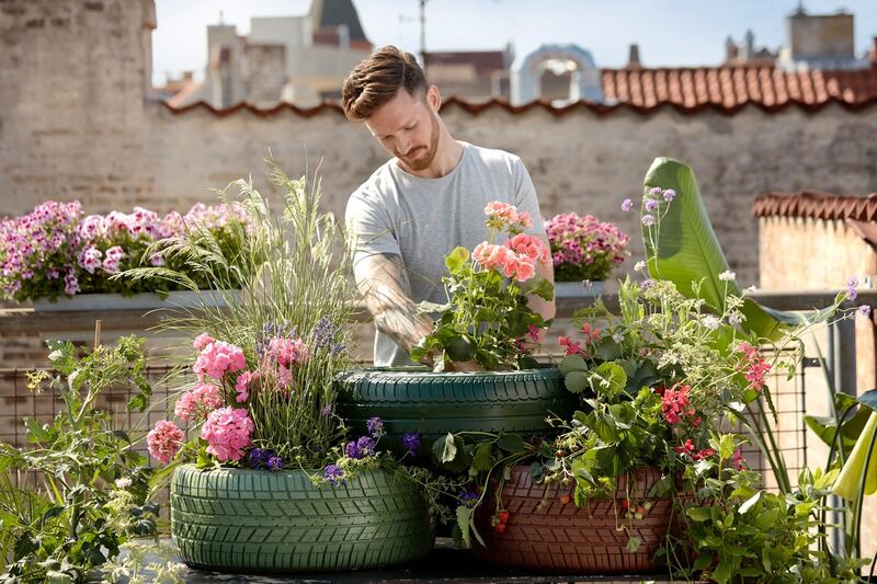 Jardinería