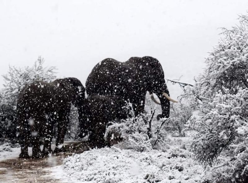 Nieve en África 2018