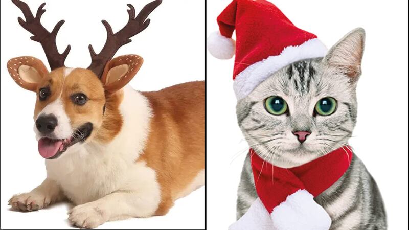 Los mejores disfraces para tu mascota en esta Navidad