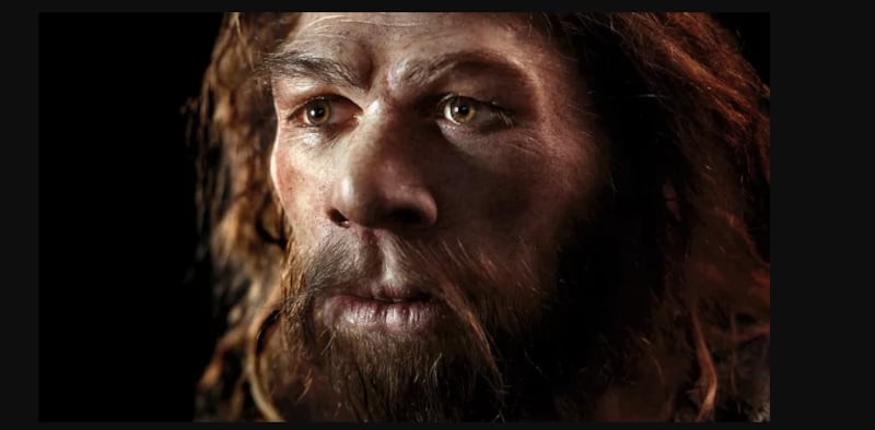 Revelan que el ADN neandertal viene de un cruce entre humanos y neandertales que duró 7.000 años