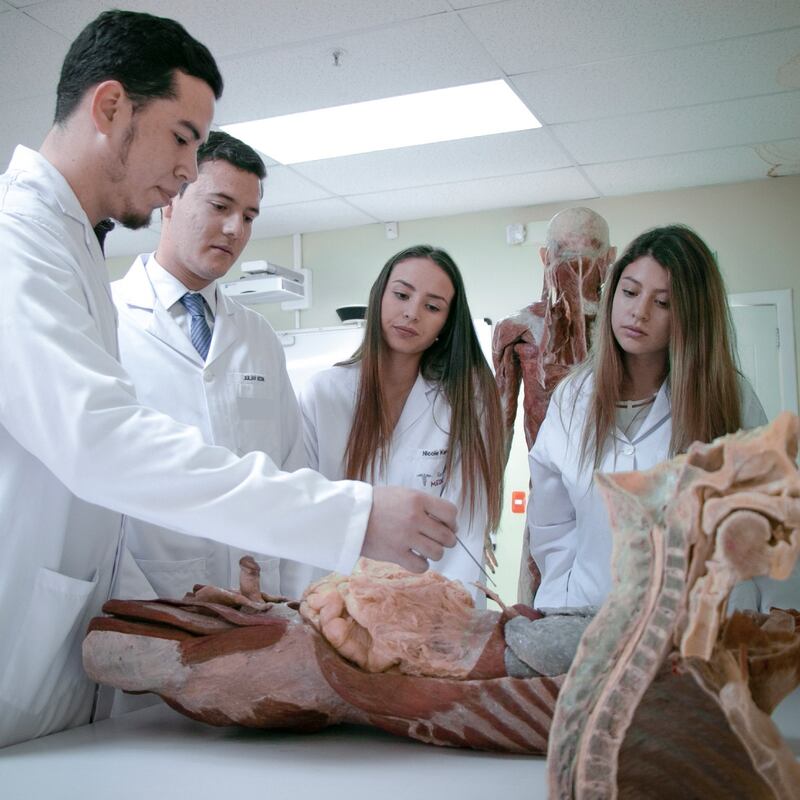 Formación de médicos de la UIDE