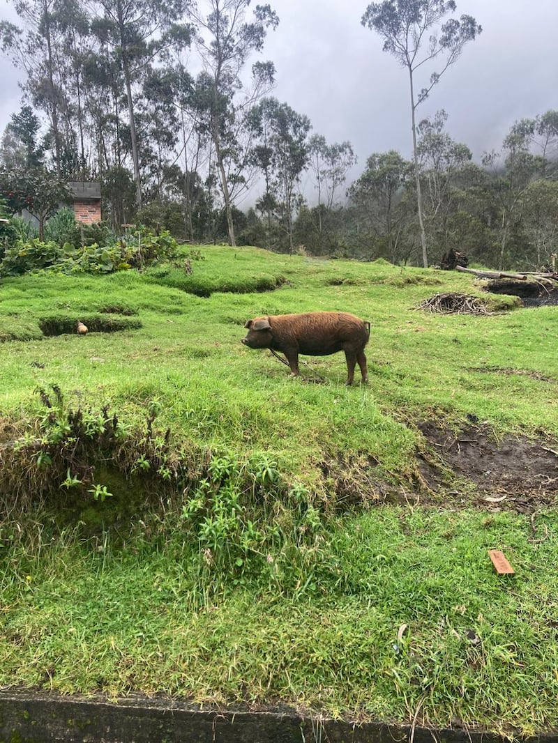 Las últimas fotos que Juan Valdiviezo captó antes de ser hallado sin vida en el Taita Imbabura. Imagen: Cortesía