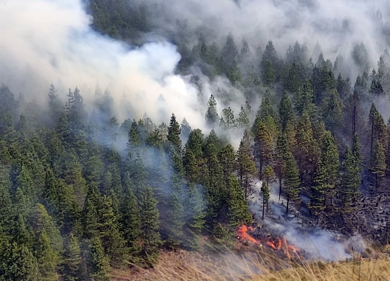 El parque nacional se cierra al público tras incendios forestales