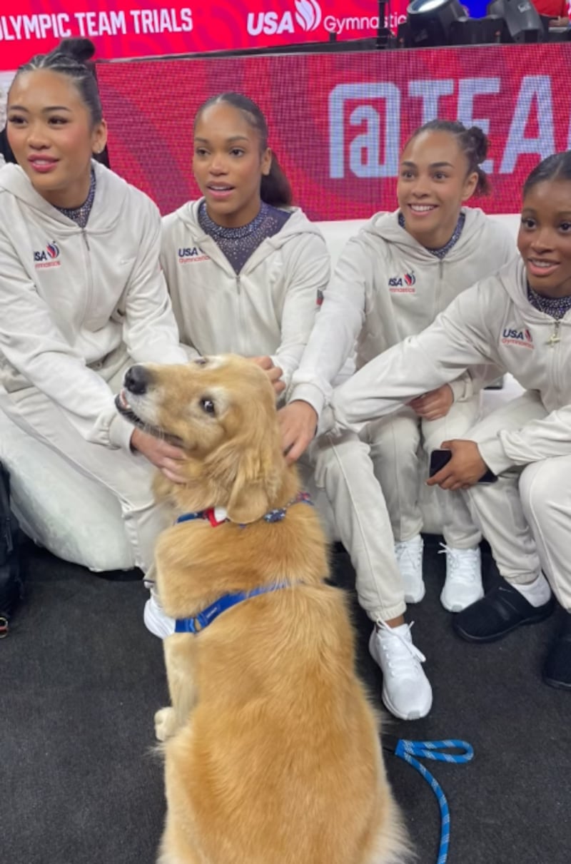 Beacon, el primer perro de terapia del Equipo de Gimnasia de Estados Unidos