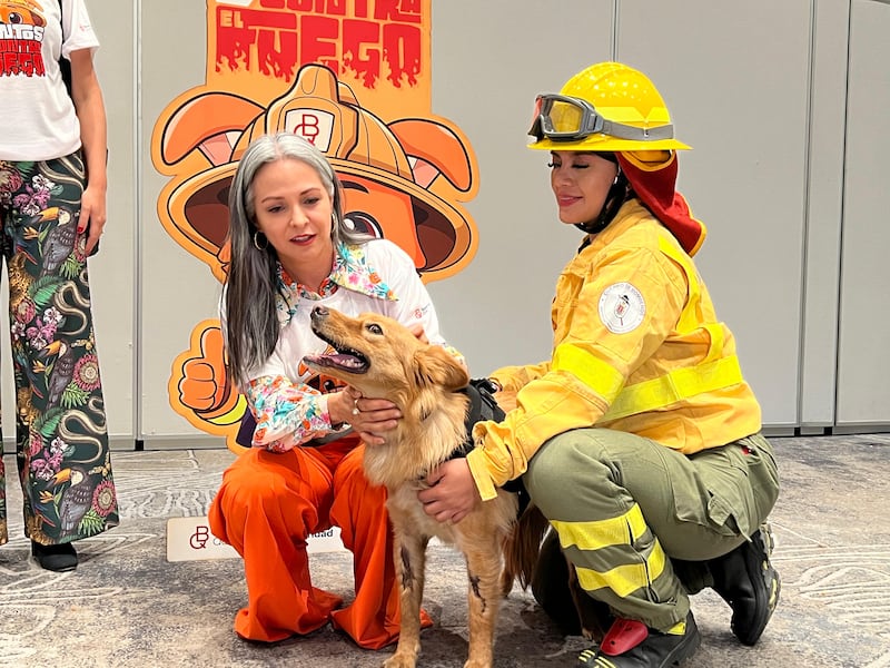 En Quito, todos nos juntamos contra el fuego de la ‘pata’ de Chaupi