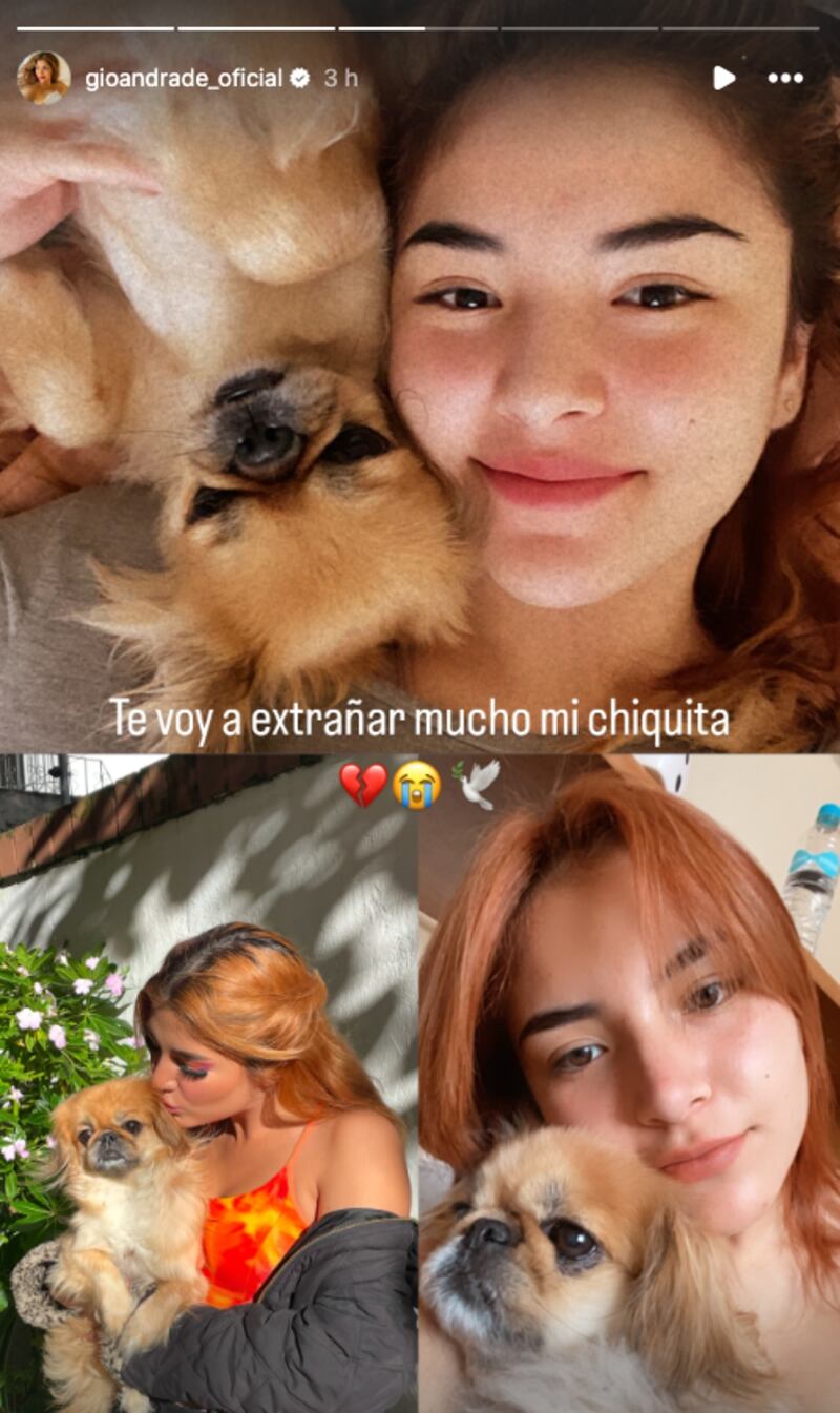 Giuliana Andrade perdió a su mascota.