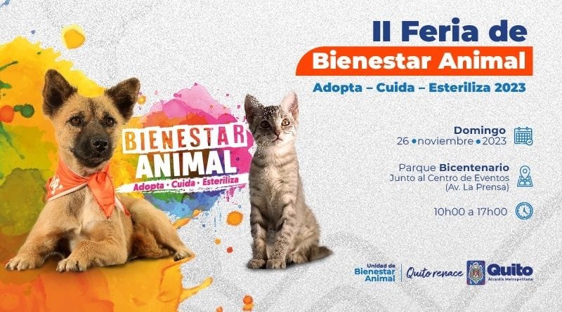 ¡Salva la vida de un 'peludito! Megaferia de adopciones por fiestas de Quito