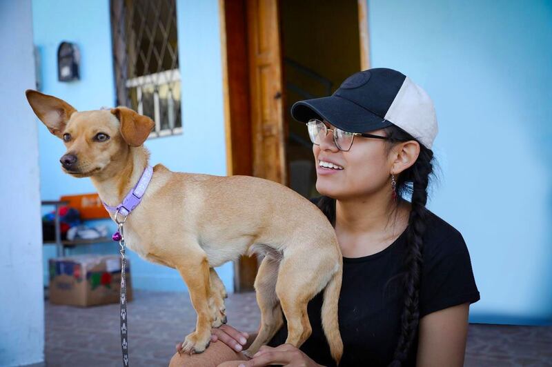 Violencia interrelacionada: Un vínculo oculto entre el maltrato animal y la violencia de género