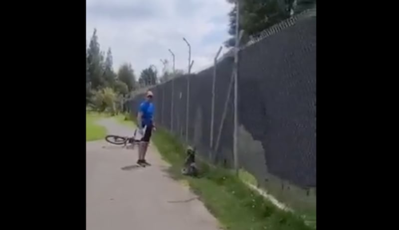 Ataque a perro en parque Bicentenario