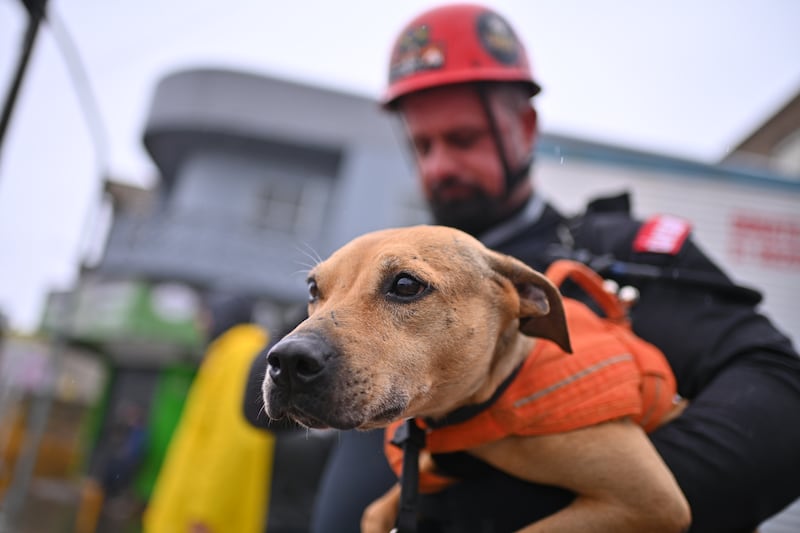 -FOTODELDÍA- AME5201. CANOAS (BRASIL), 10/05/2024.- Un rescatista carga a un perro en una zona inundada este viernes en Canoas, región metropolitana de Porto Alegre (Brasil). El número de muertos por las devastadoras inundaciones que castigan al sur de Brasil llegó a 116 este viernes y el Gobierno alertó sobre unas fuertes precipitaciones previstas para el fin de semana, que pueden agravar aún más una situación que ya es crítica. Las previsiones en algunas regiones del estado de Rio Grande do Sul es que las lluvias alcancen entre sábado y domingo un volumen de 115 milímetros, lo cual volverá a presionar el nivel de ríos que ya están desbordados, dijo el ministro de Información, Paulo Pimenta, en una rueda de prensa junto a otros miembros del gabinete. EFE/Andre Borges