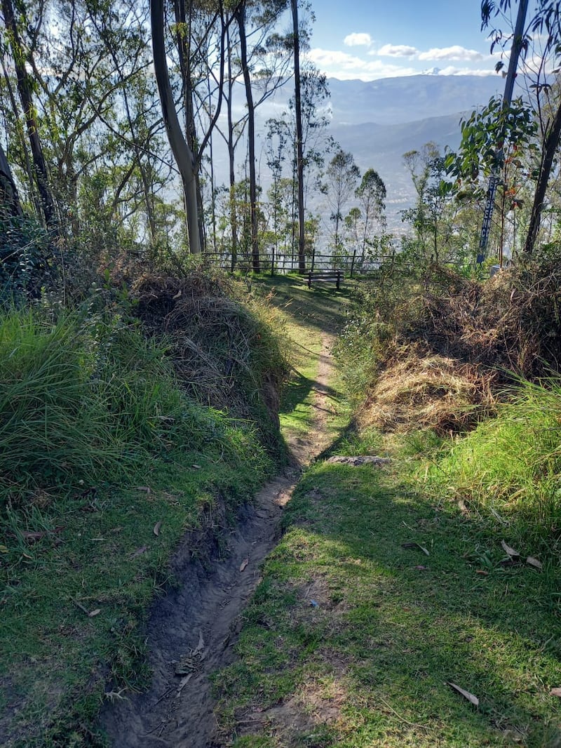 Parque Metropolitano