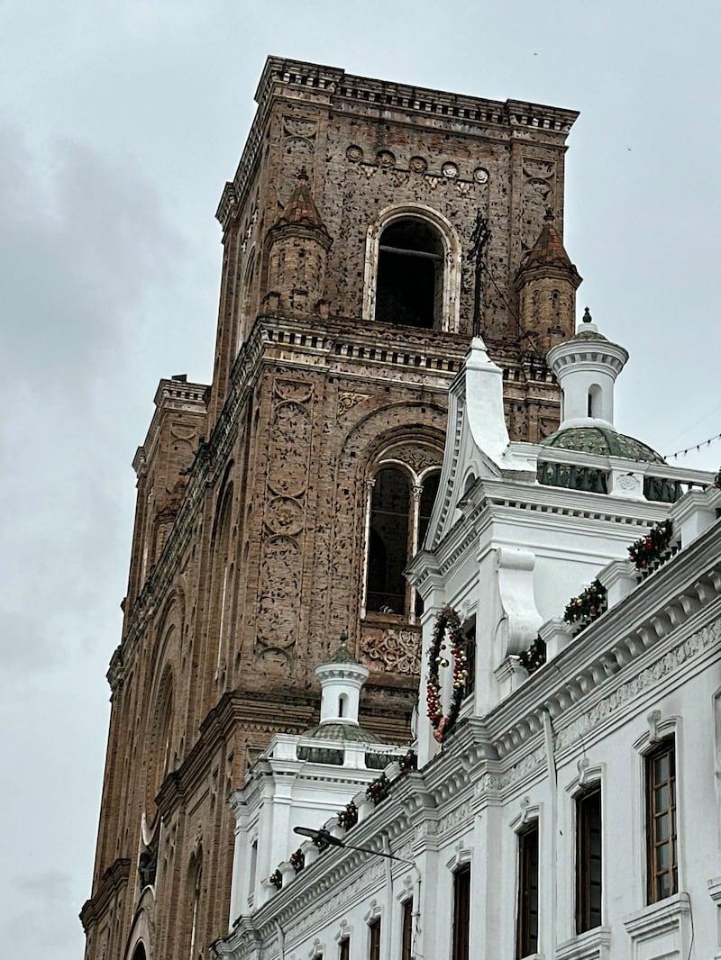 Ascalapha odorata en Cuenca.