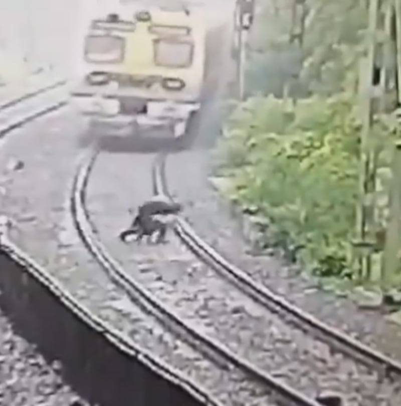 Suicidio en tren de la India