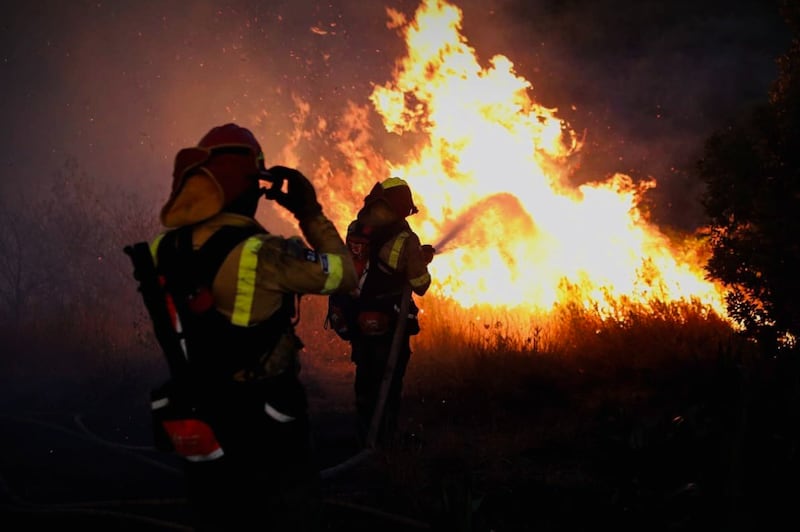 Más de 20.000 animales muertos en unos 2.000 incendios forestales desde enero en Ecuador