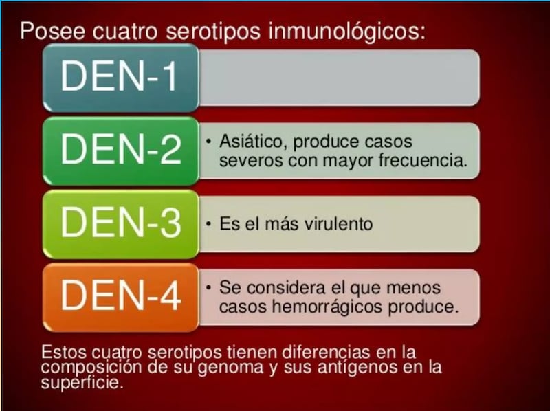 Cuatro serotipos del Dengue