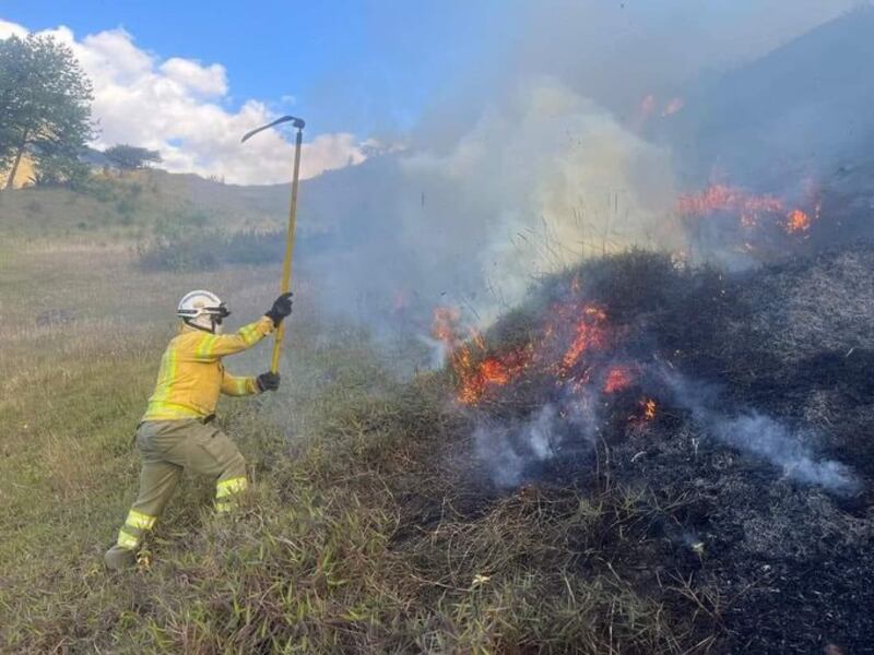 Incendio forestal