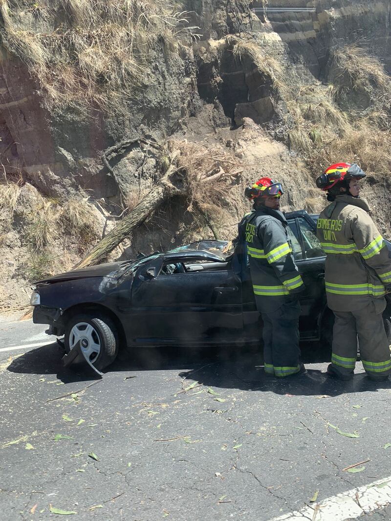 Árbol cayó sobre un vehículo en la Simón Bolívar