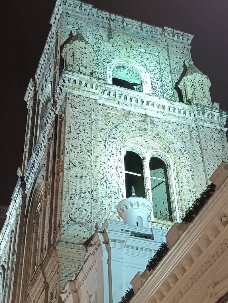 Ascalapha odorata en Cuenca.