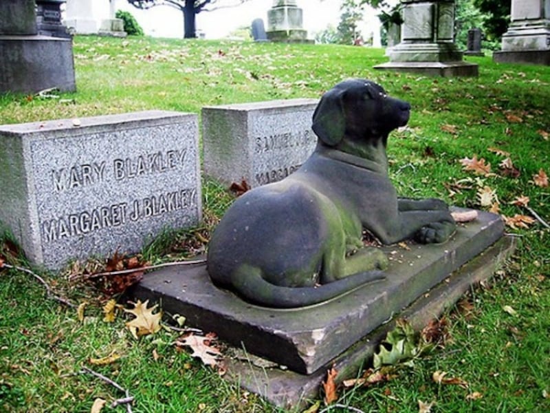 Cementerio para mascotas en Cuenca (imagen referencial)