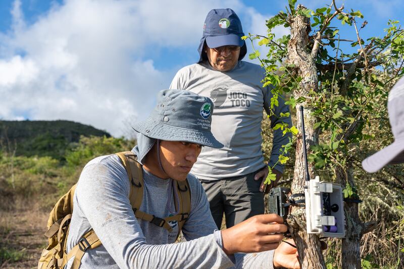 Fotografía de la Fundación Jocotoco de personal de Jocotoco y Parque Nacional Galápagos realizando monitoreo en Floreana